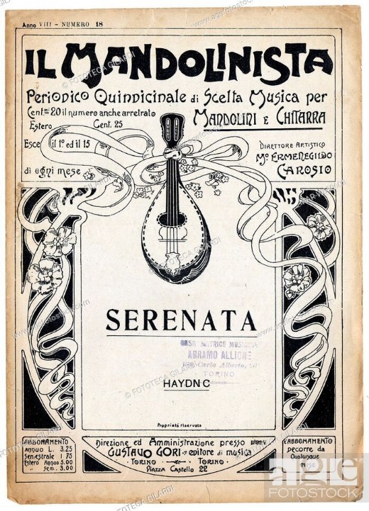 Il Mandolinista